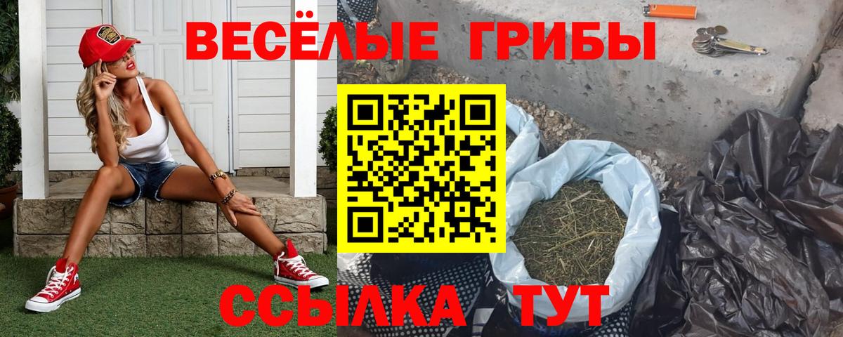 Галлюциногенные грибы Cubensis  Вход с VPN  Лангепас 